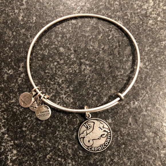 NEW Alex and Ani Capricorn Silver Charm Bracelet - Picture 2 of 3